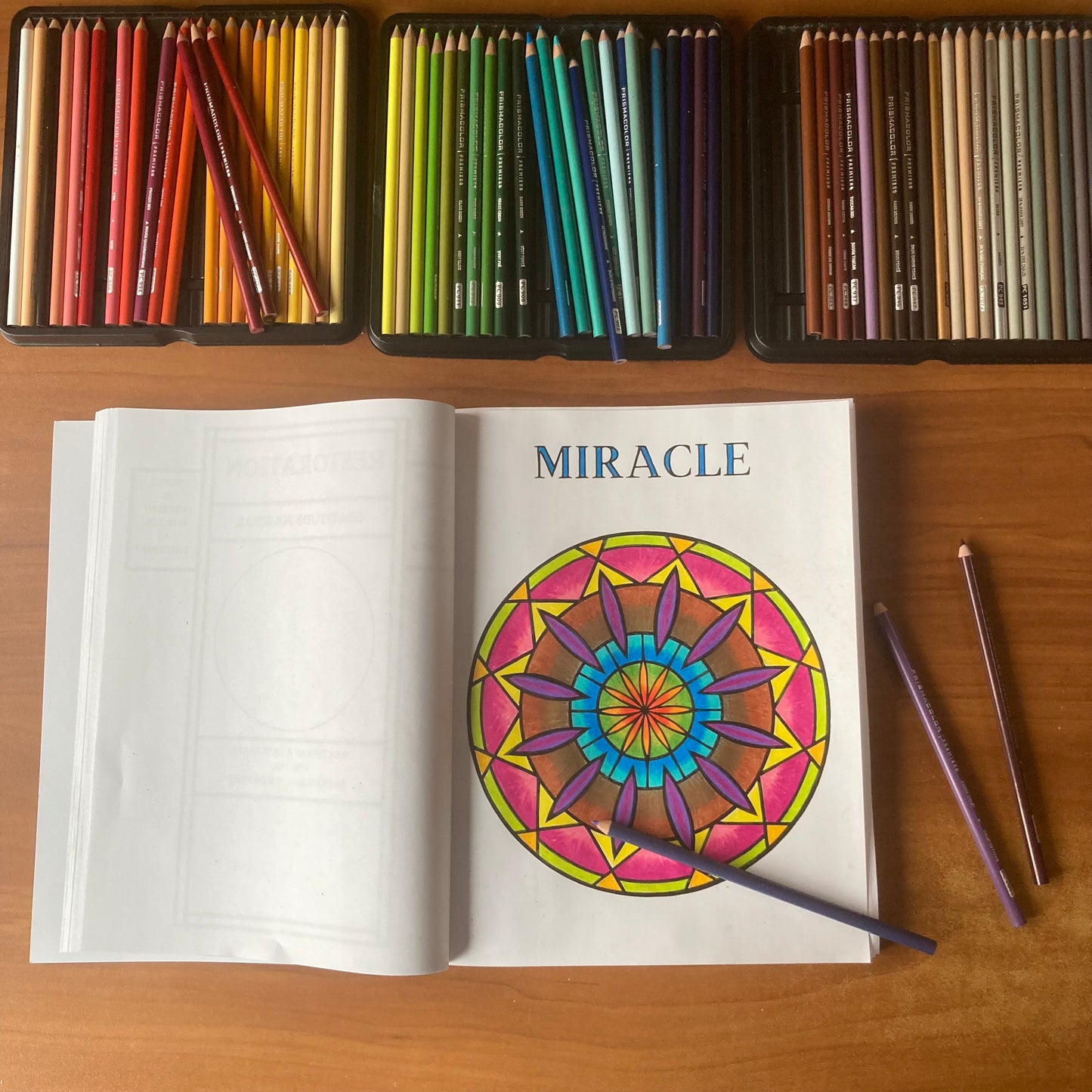 Geometric Healing Coloring Book & Gratitude Journal